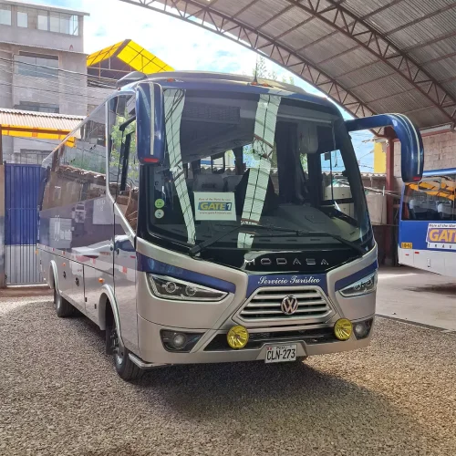Bus Bus